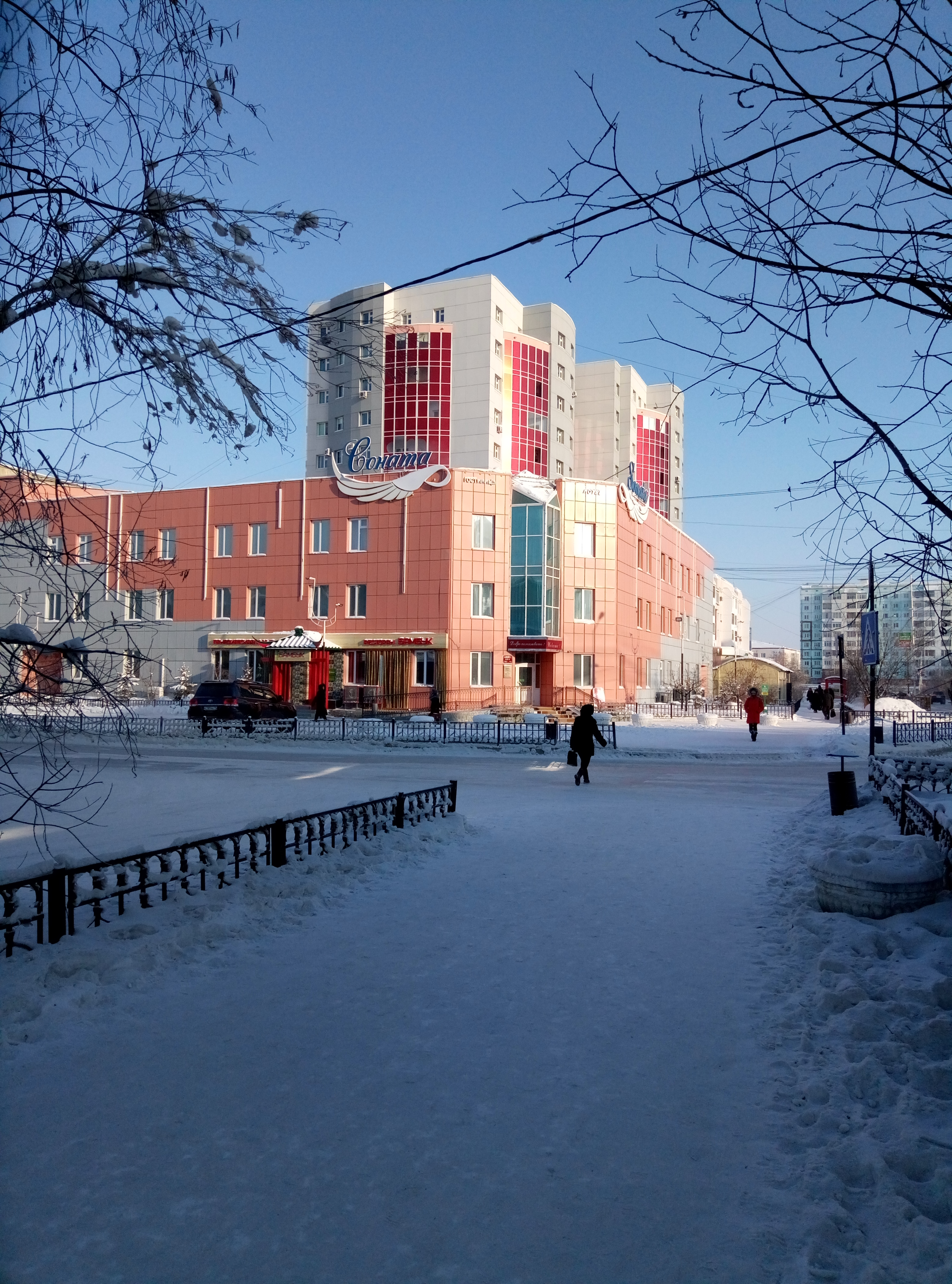 Фото Соната