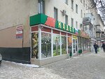 Uchitel (Opolchenskaya Street, 7) ، مكتبة