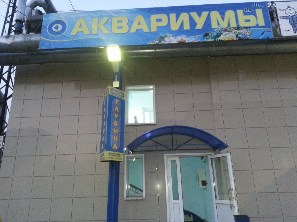 Accesorios de coche Ametist Magazin avtochekhlov i avtokhimii, , foto