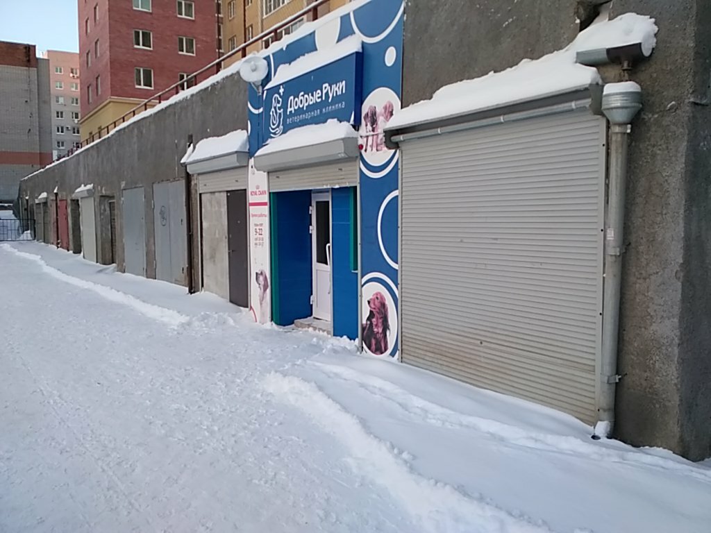 Добрые руки ул южакова 3 вологда фото Добрые руки, ветеринарная клиника, ул. Южакова, 3, Вологда - Яндекс Карты