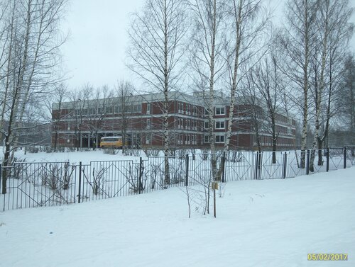 School Mou Novo-Devyatkinskaya shkola № 1, Saint‑Petersburg and Leningrad Oblast, photo