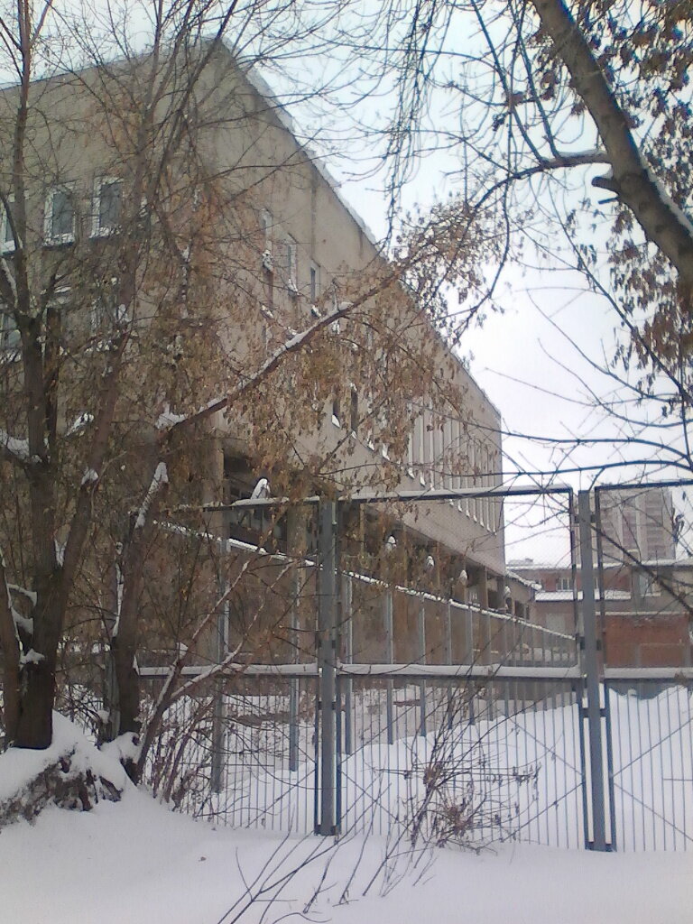 University Sibirsky gosudarstvenny universitet vodnogo transporta Kafedra fizicheskogo vospitaniya i sporta, Novosibirsk, photo