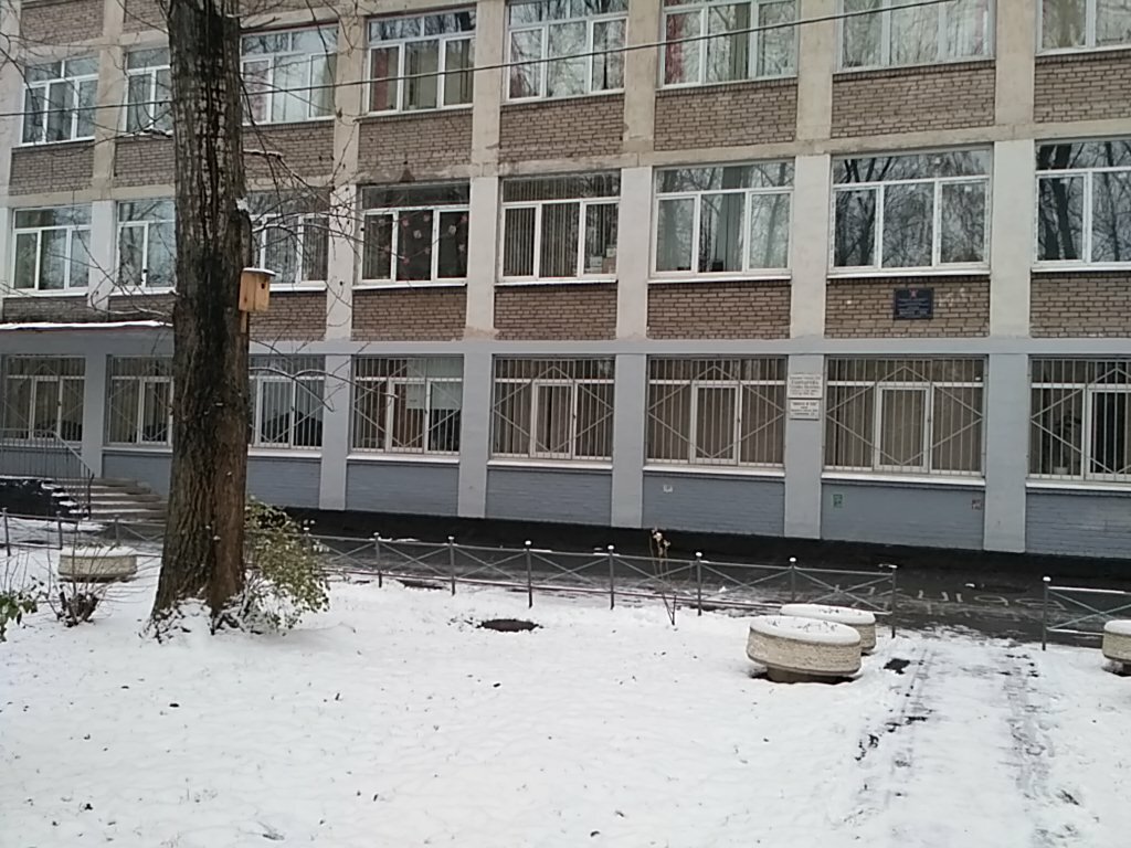 School GBOU School № 536 named after T.I. Goncharova, Saint Petersburg, photo