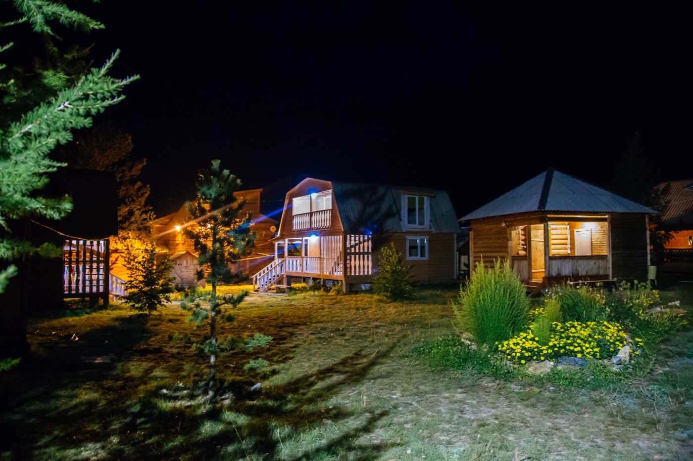 Фото Чабрец