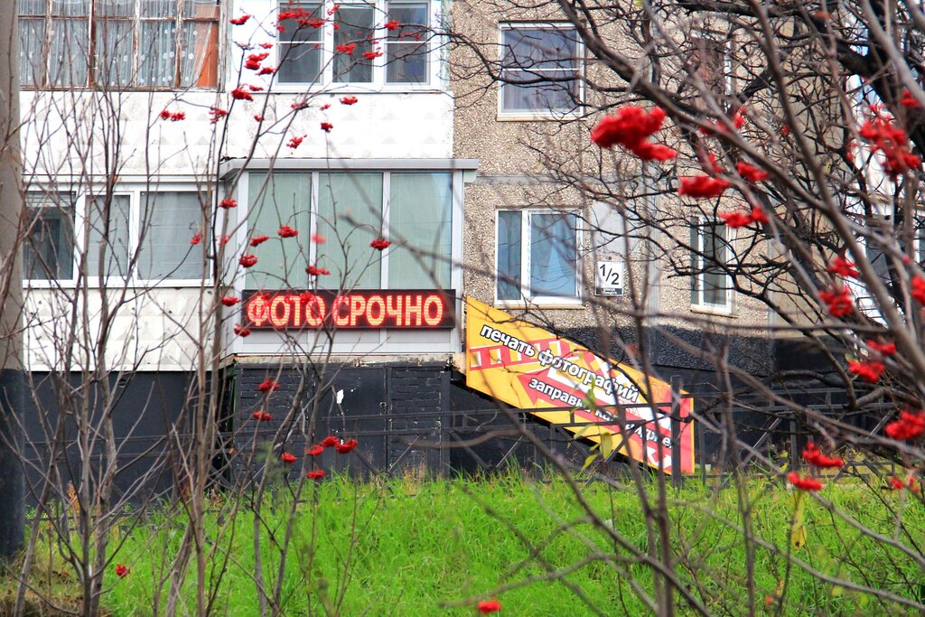 Photography Позитив, Murmansk, photo