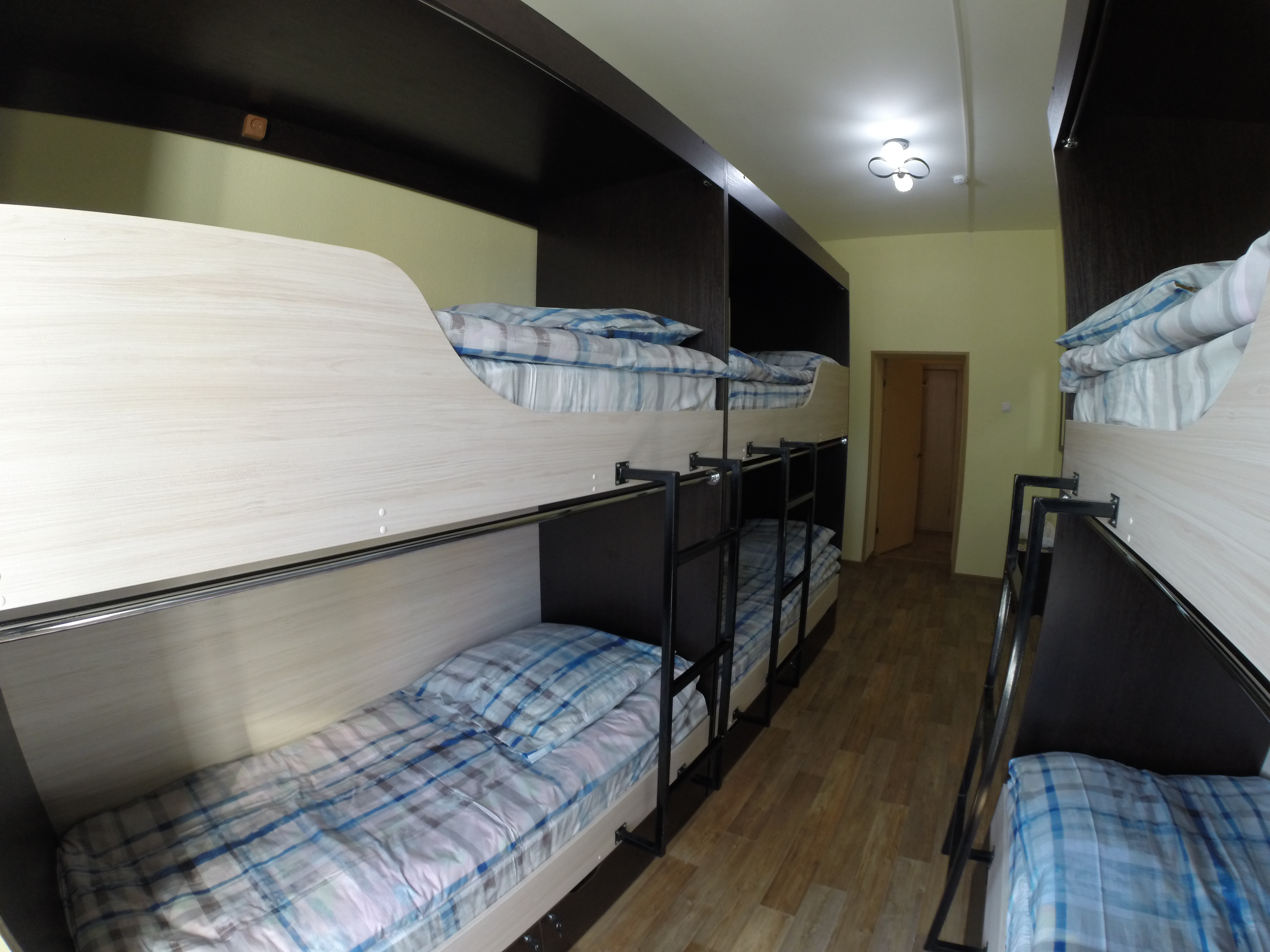 Фото Дружба