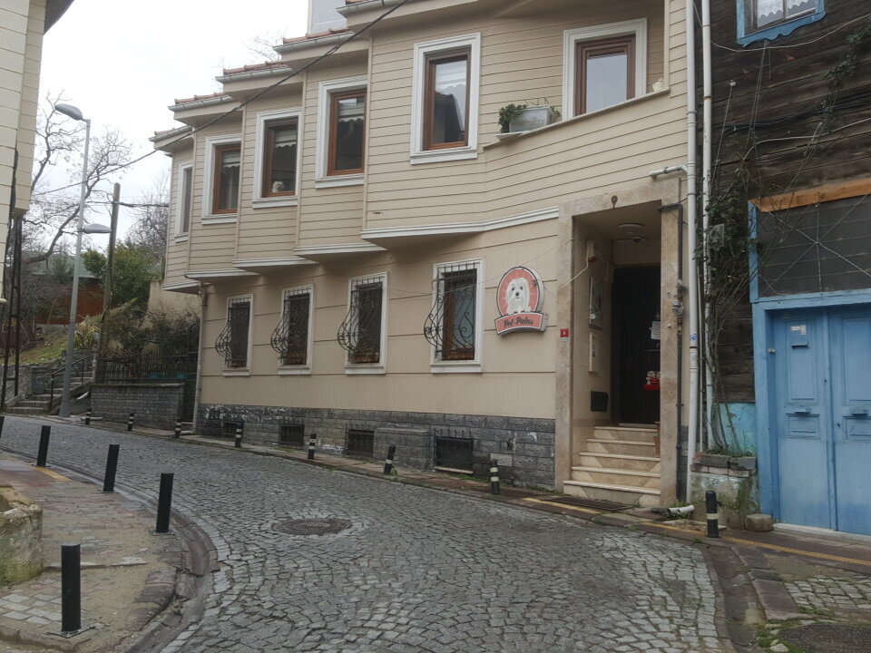 فندق للحيوانات الأليفة Pet Palas Cat and Dog Hotel ، اسطنبول، صورة