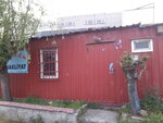 Guzel Transport Industry (İstanbul, Maltepe, Zümrütevler Mah., Mutlu Sok., 5) ، متعهد النقل