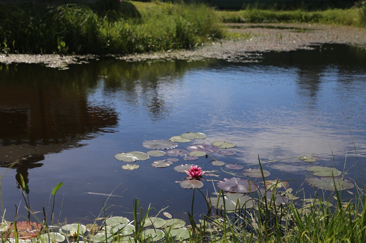 Фото Свирская