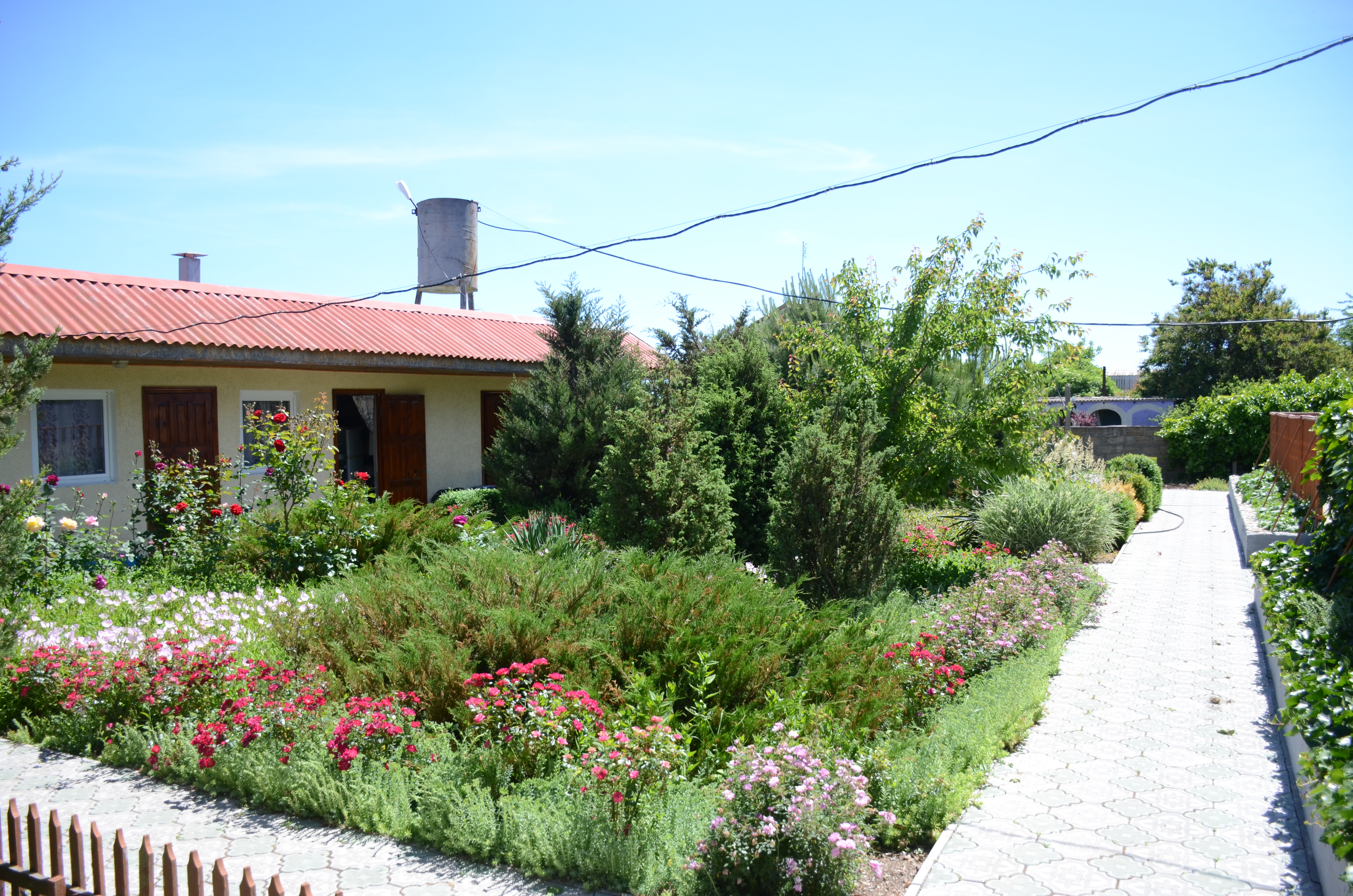 Фото Усадьба Афалина