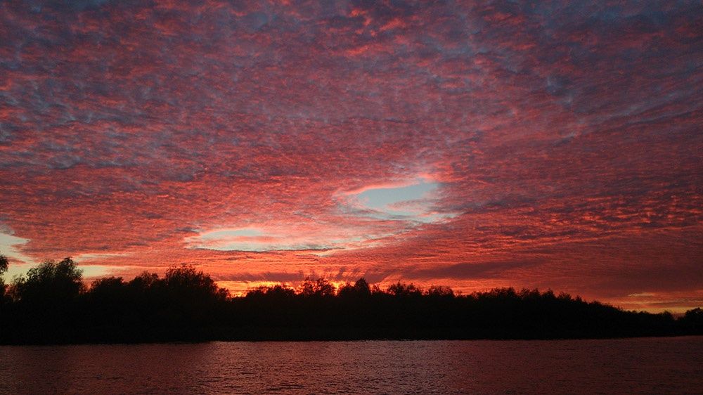 Фото Зеленга