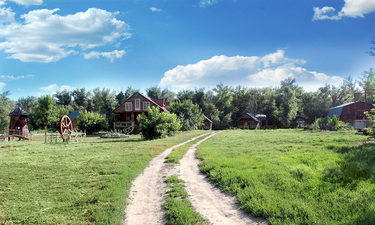 Фото Гремучий