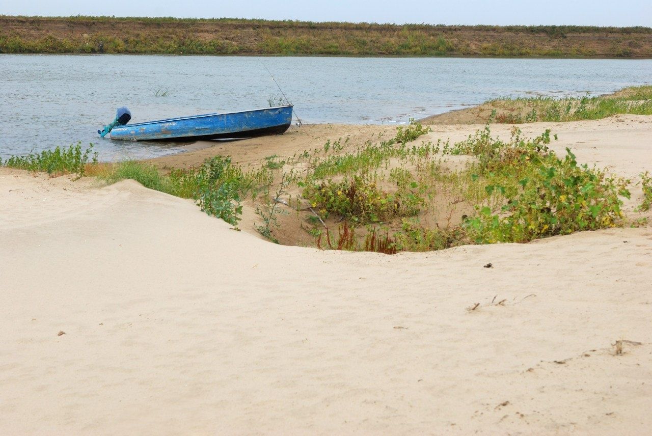 Фото Алимовский плес