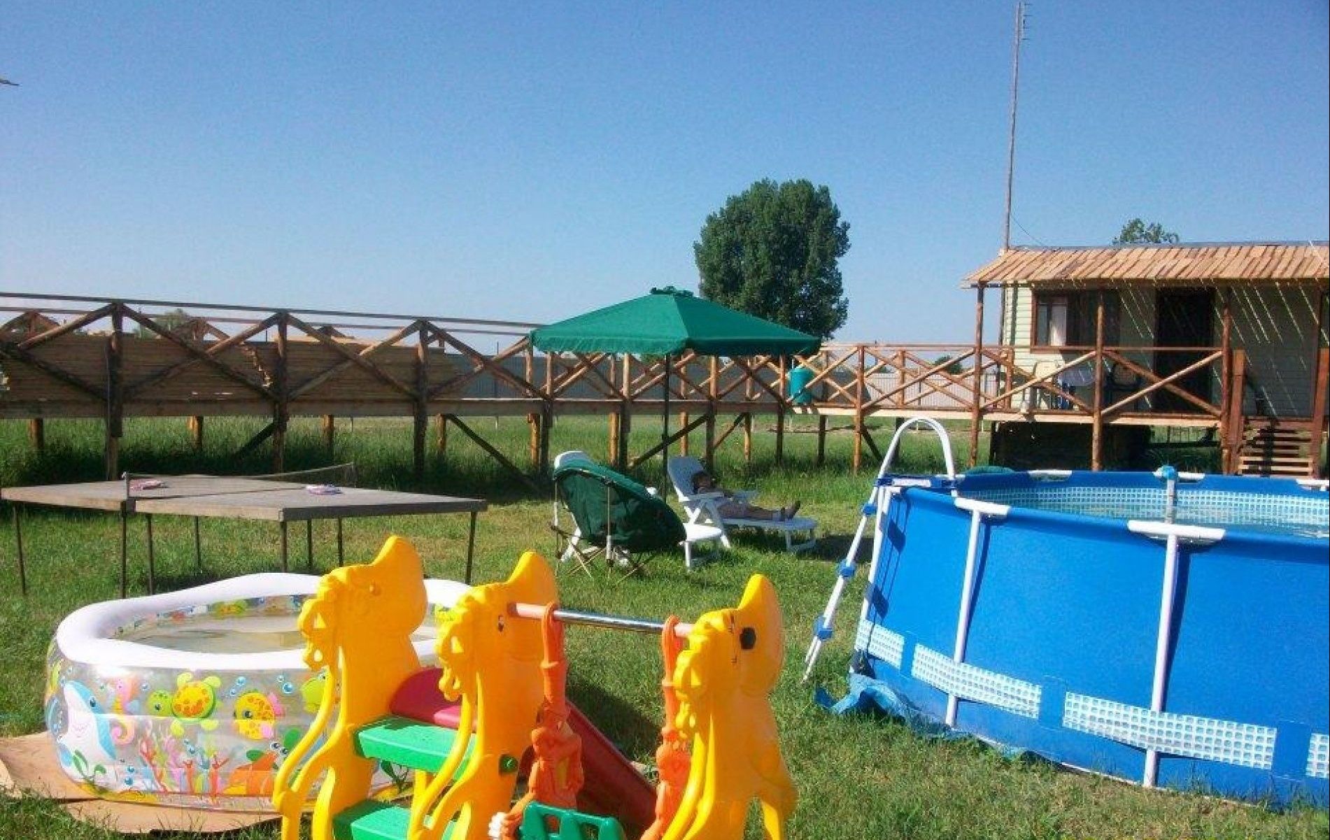 Фото Олигри Fish