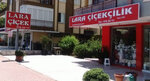 Lara Cicek (Antalya, Muratpaşa, Sinanoğlu Cad., 8), flower shop