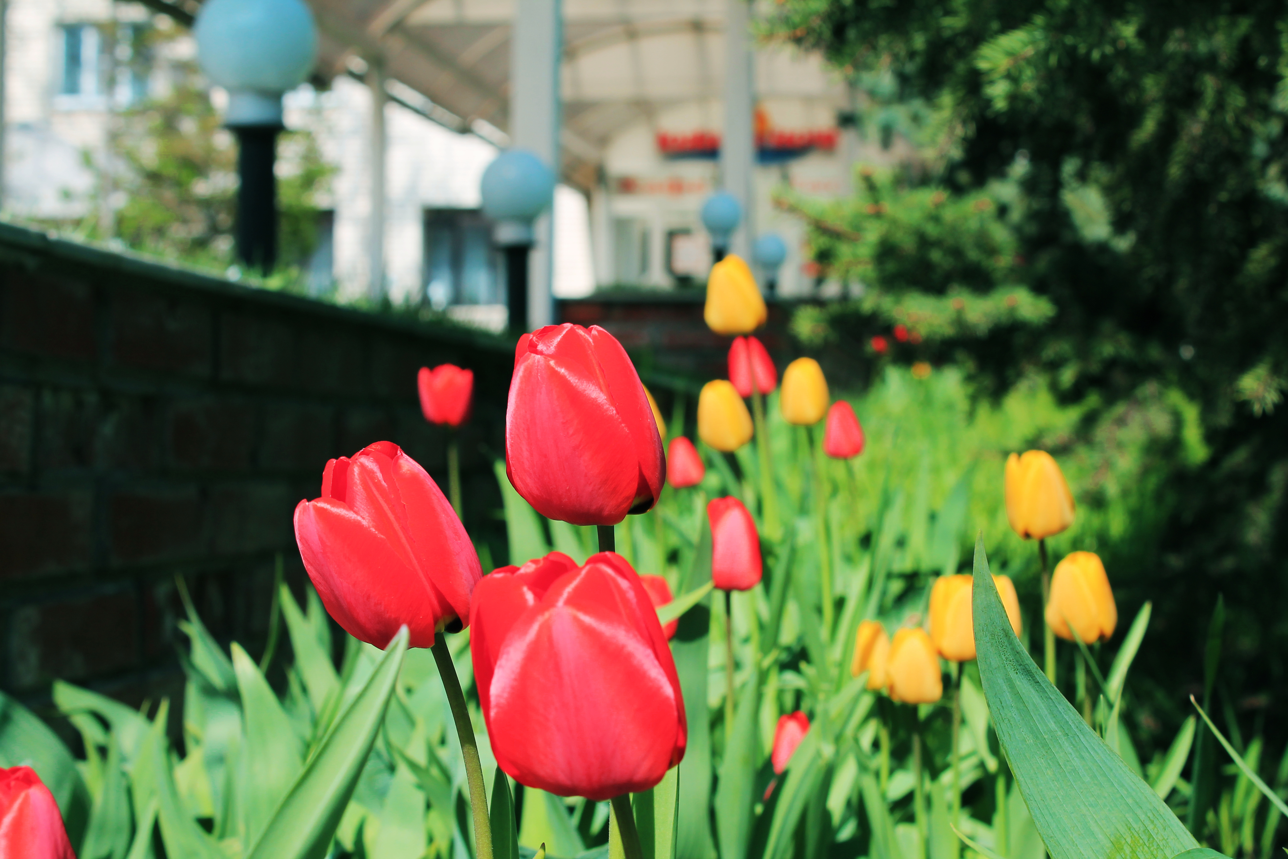 Фото Южная ночь