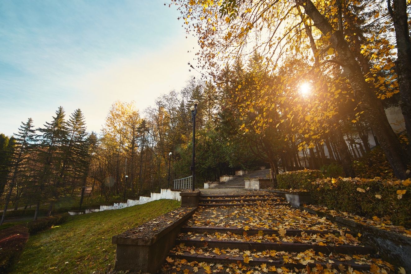 Фото Родник