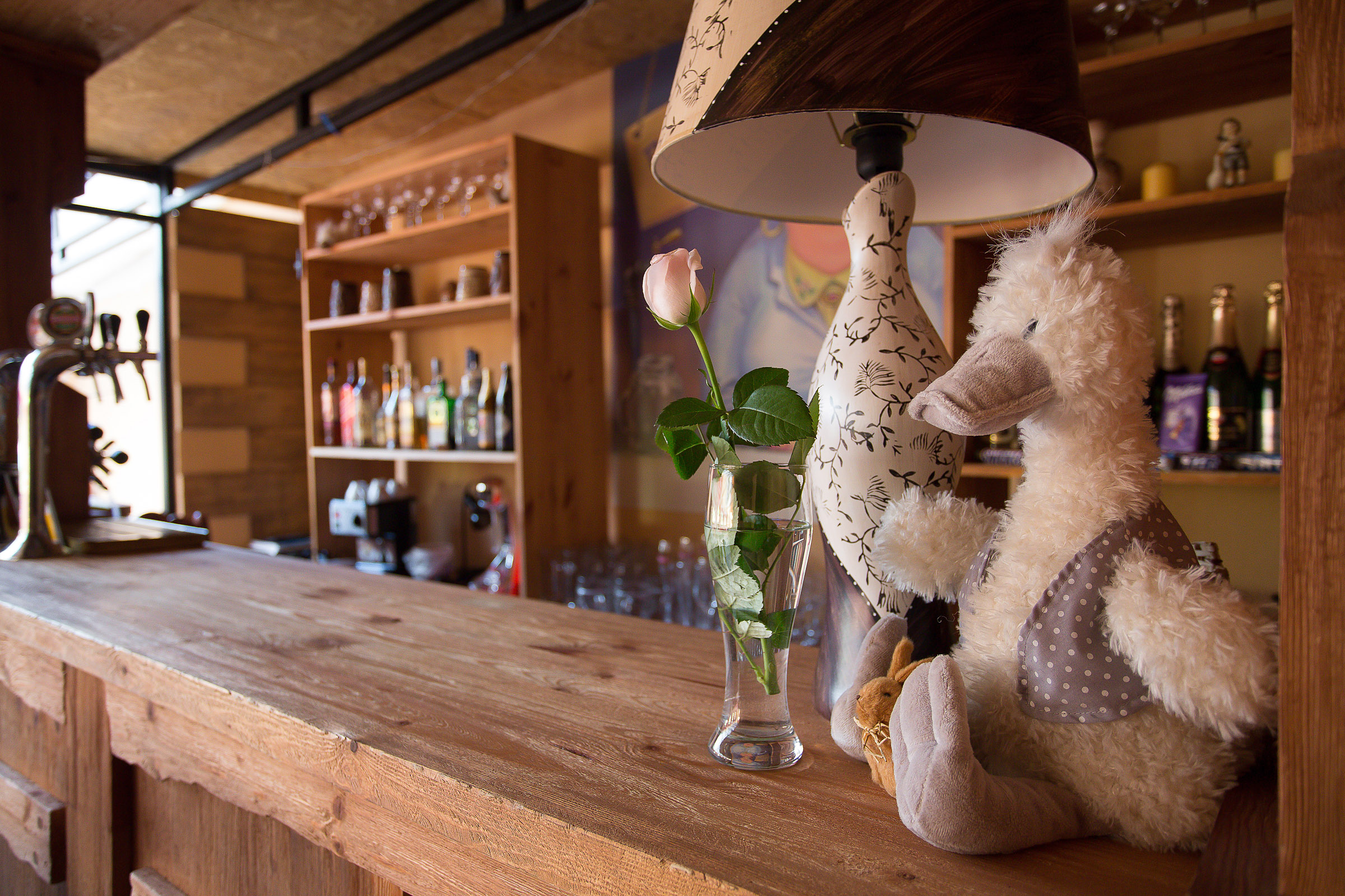 Фото Серый гусь