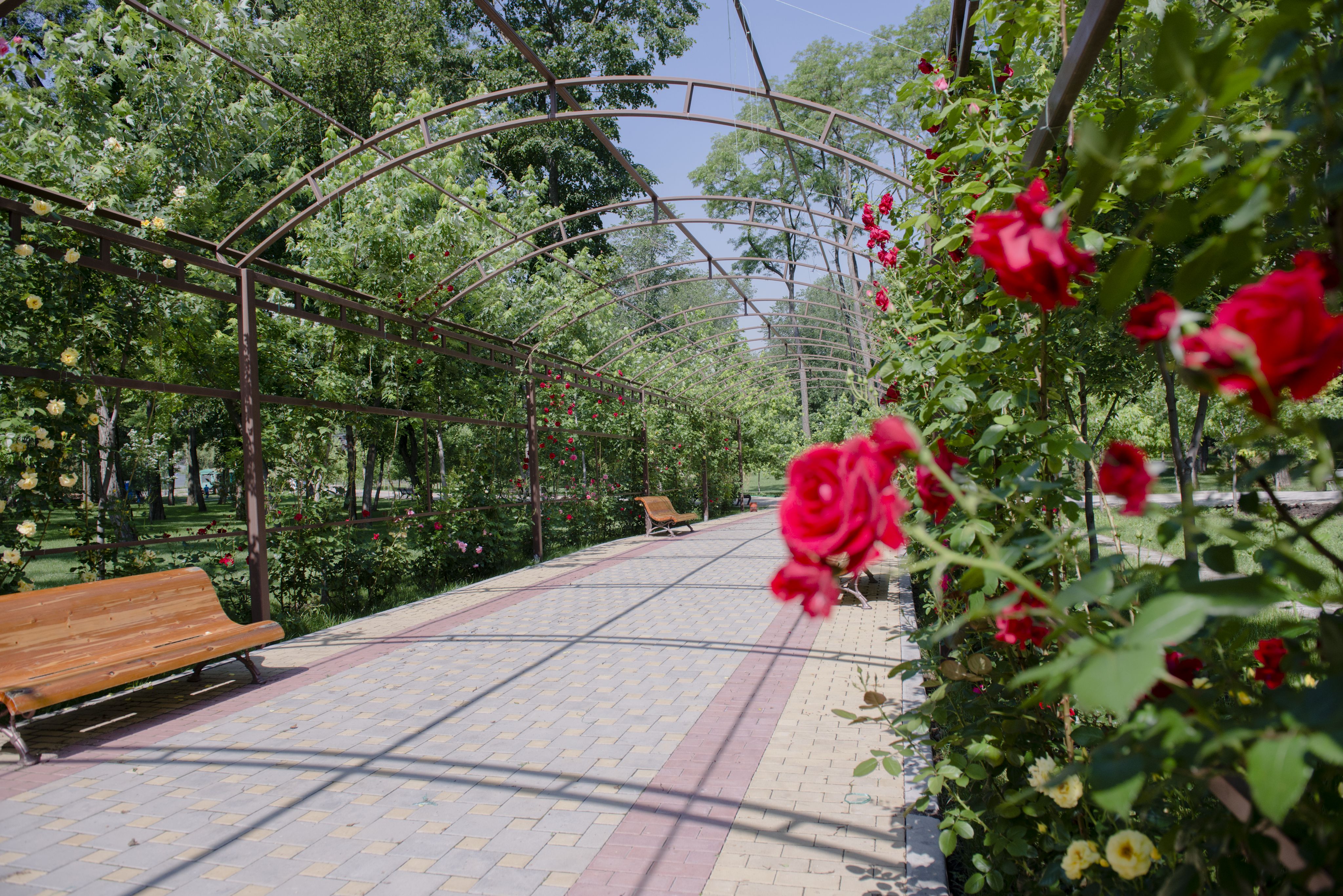 Фото Надежда