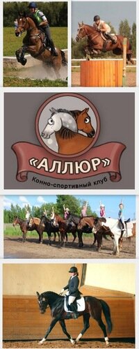 Аллюр Конный Магазин Екатеринбург Официальный Сайт