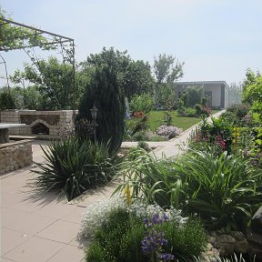 Фото Летний сад