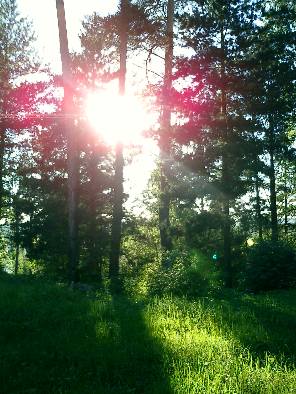 Фото Введенское