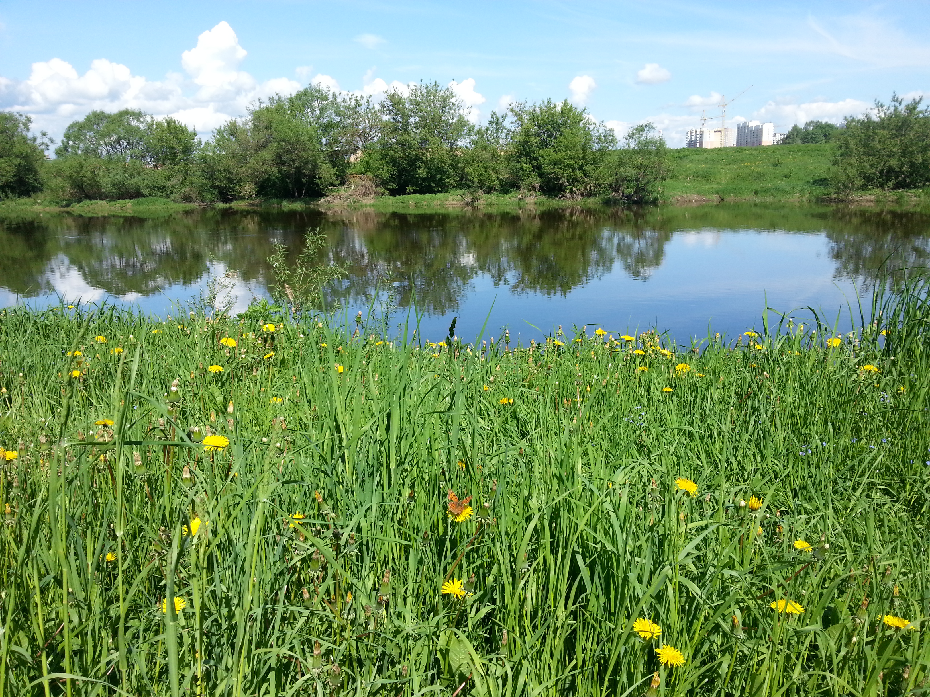 Фото Введенское