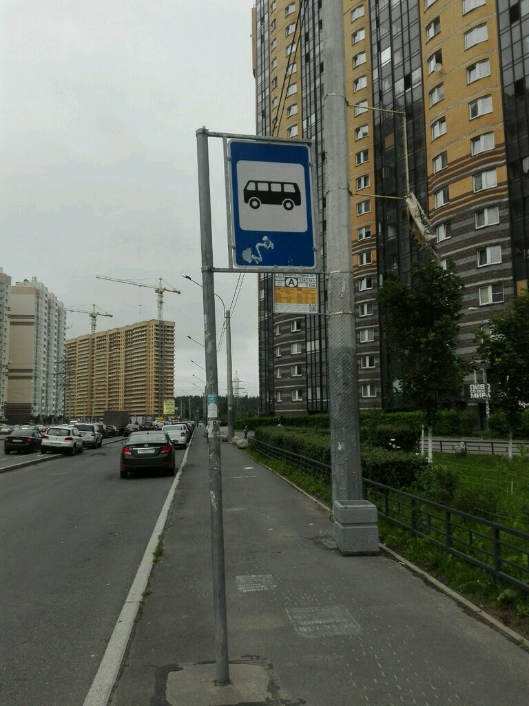 Остановка общественного транспорта Улица Михаила Дудина, Санкт‑Петербург, фото
