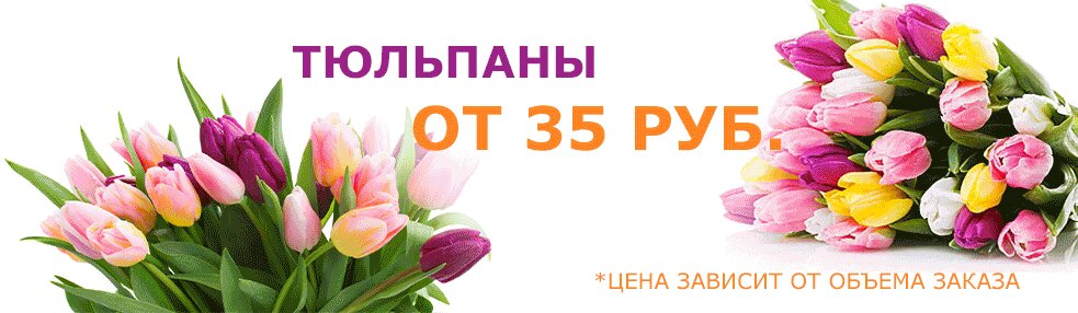 Интернет Магазин Цветов Дзержинск