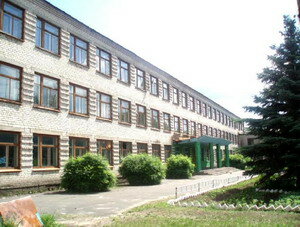 Общеобразовательная школа Ветлужская школа № 1, Ветлуга, фото