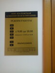 Kliningovaya kompaniya (ulitsa Plekhanova, 48/8), cleaning services