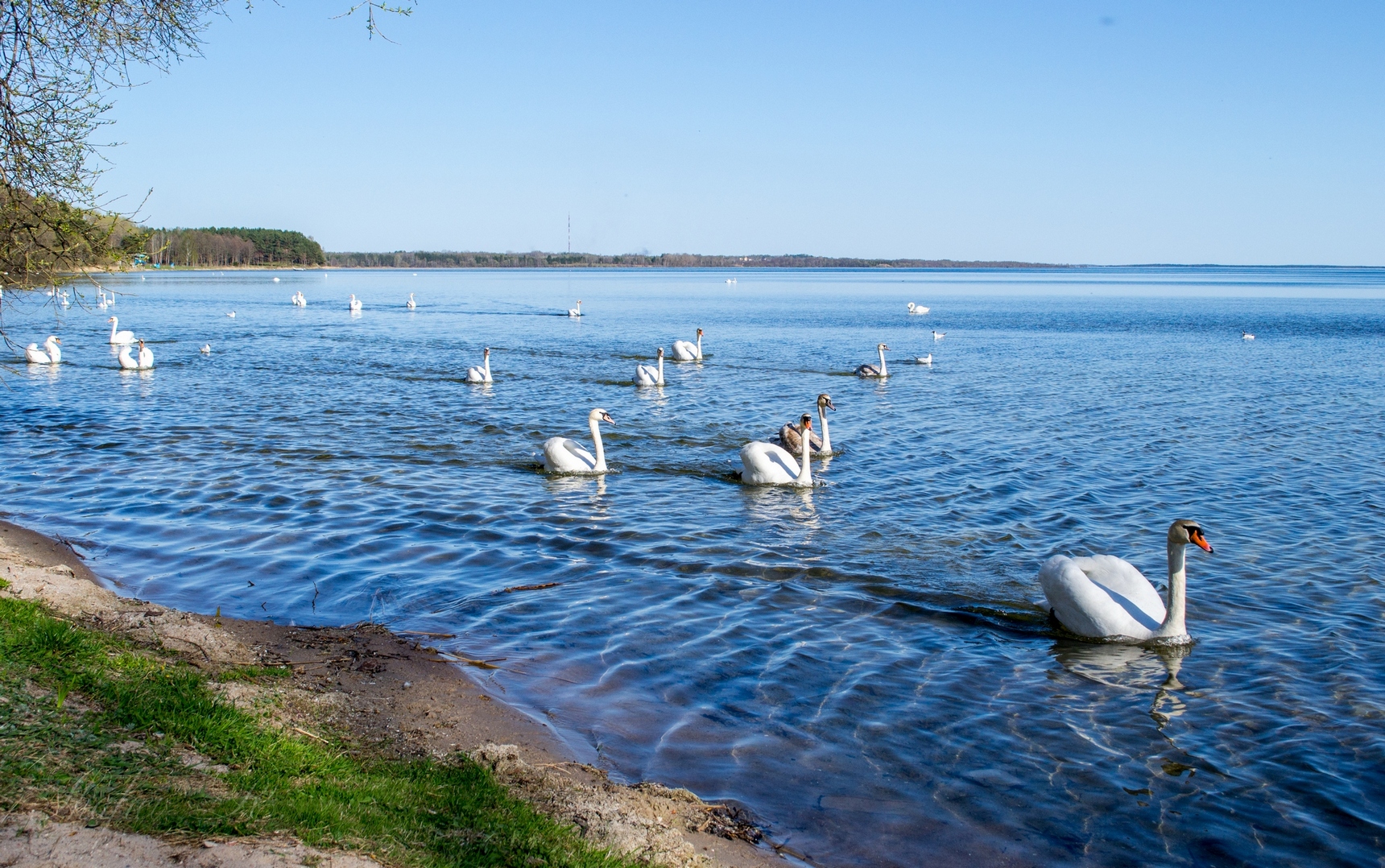 Фото Санаторий Нарочь, корпус Нарочь