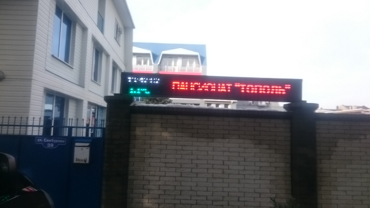 Фото Тополь