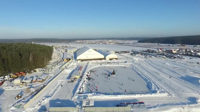 Фото Белая лошадь