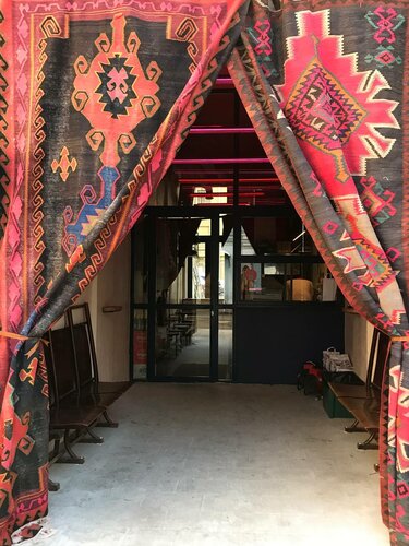 Gozal mushuk onlayn oshkor