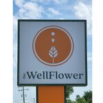 The WellFlower Cannabis Dispensary Whitmore Lake (United States, Whitmore Lake, 50 E North Territorial Rd), alternative medicine