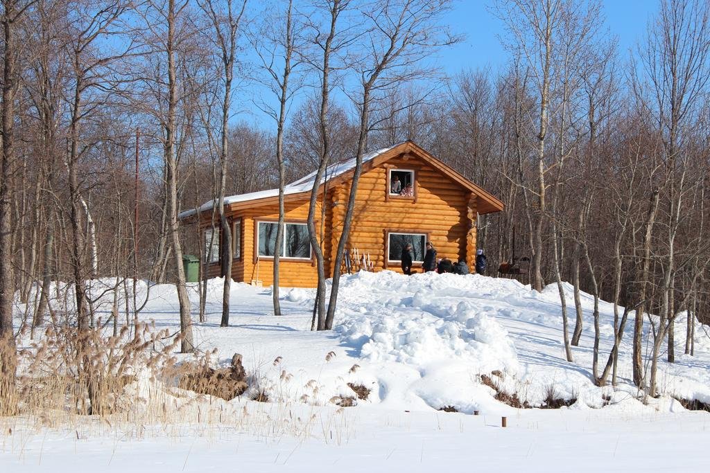 Фото Лесная гавань