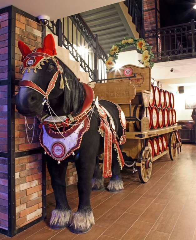 Фото Алёша Попович Двор