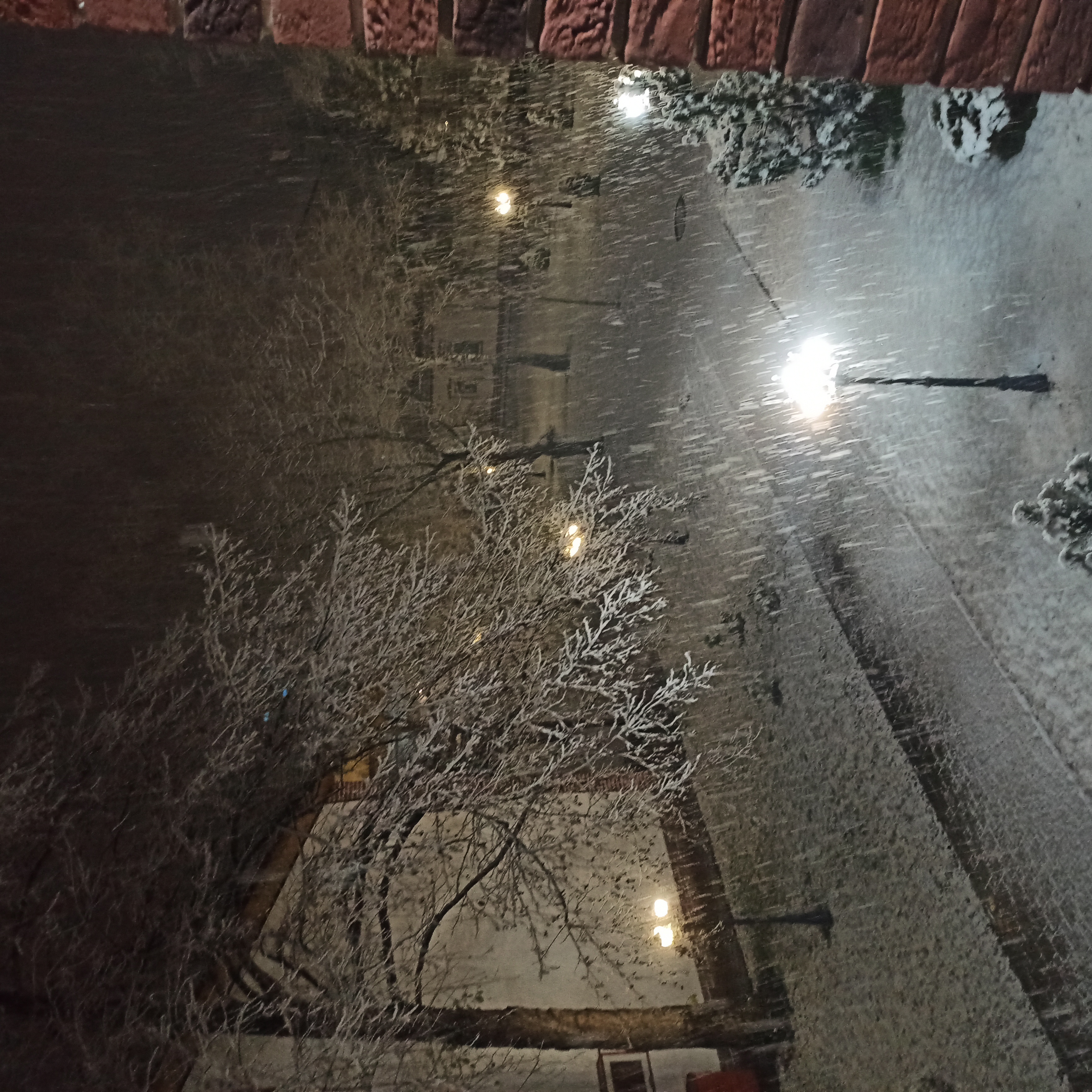 Фото Турист