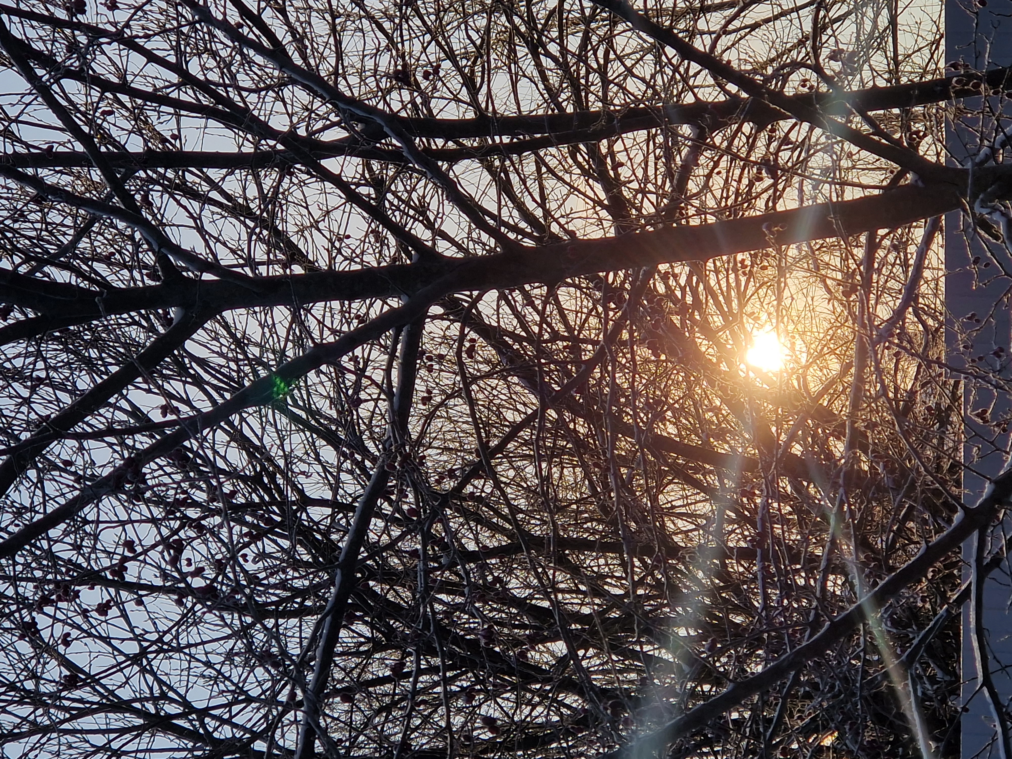 Фото Светлая роща