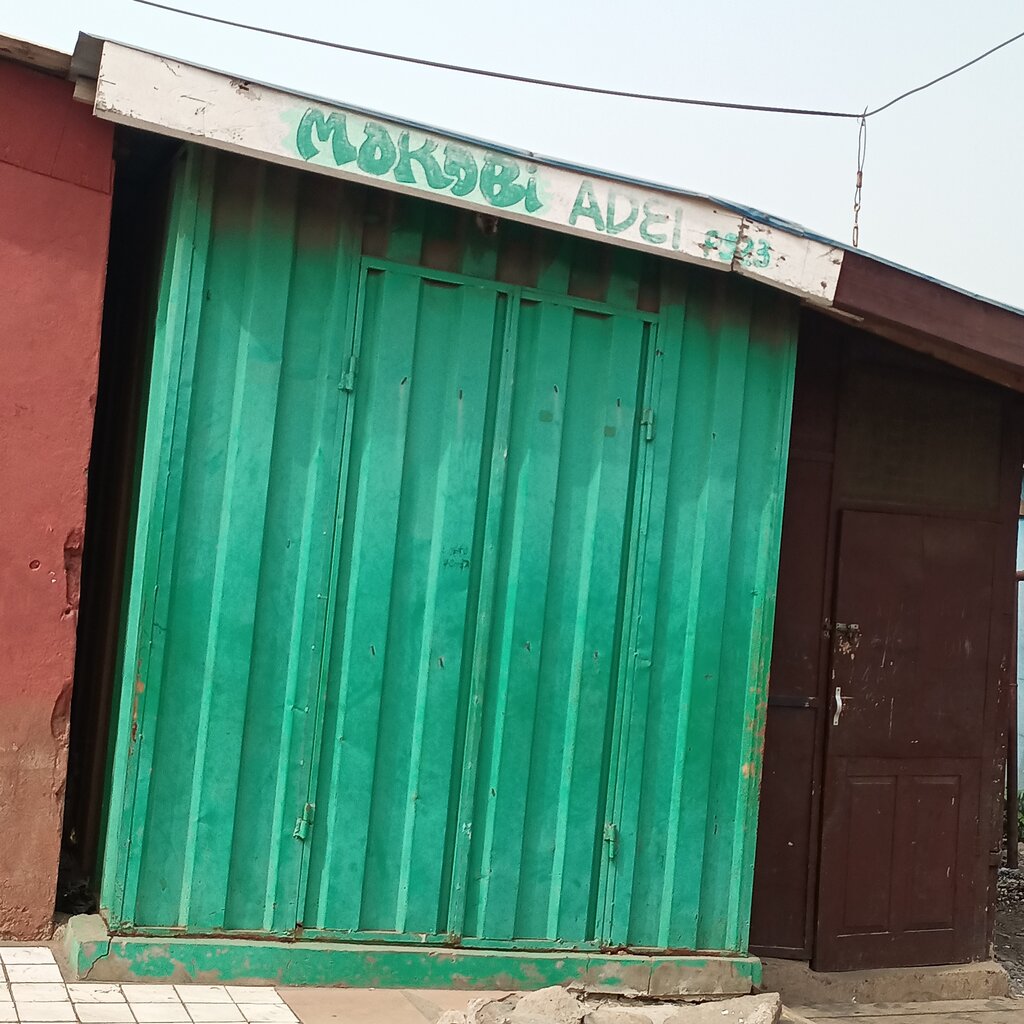 Management company Mokobi Adei, Earth, photo