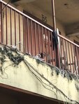 Room B5 (Okaikwei Street, 7) ، خدمات المستودعات