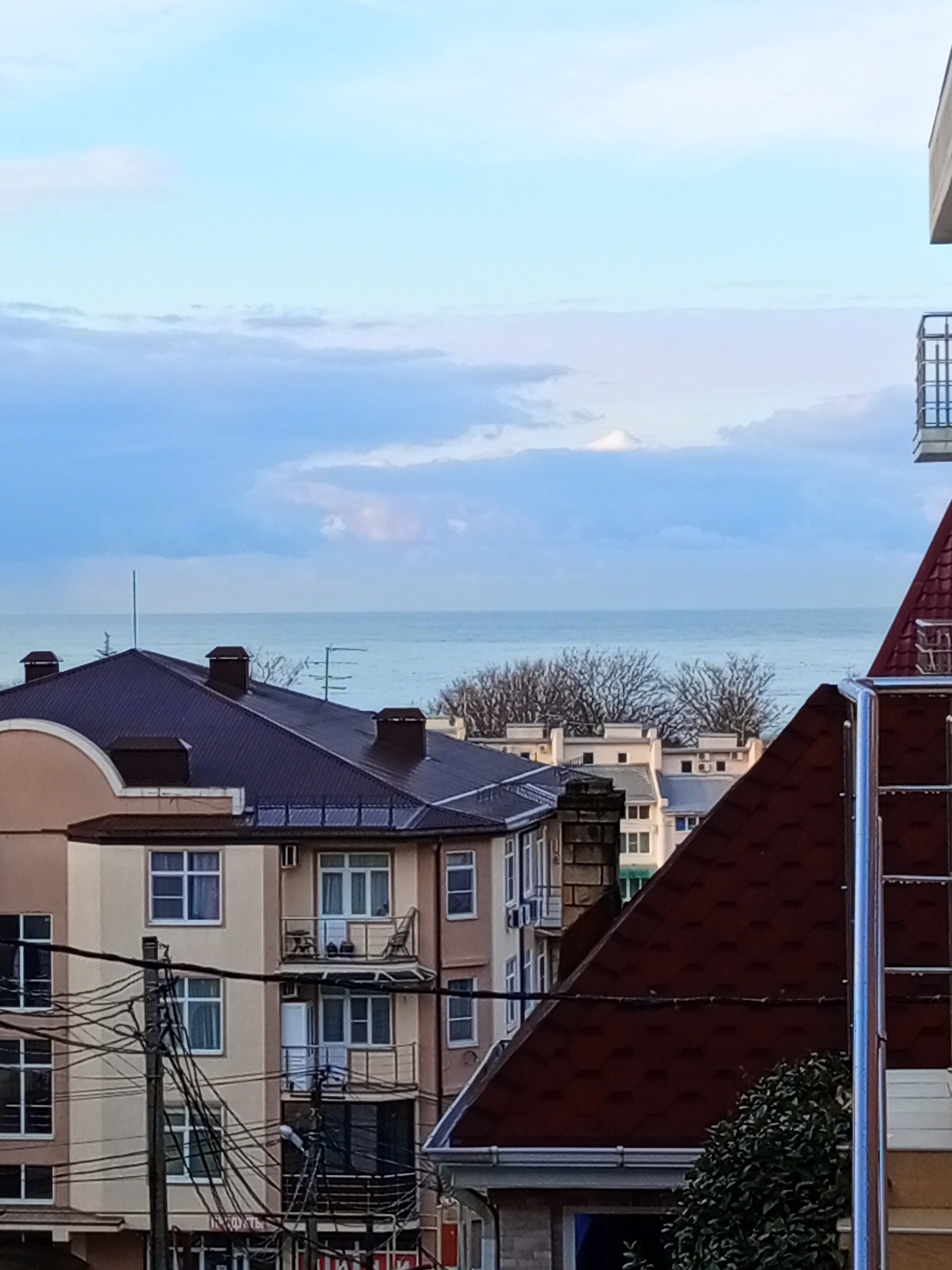 Фото Возрождение