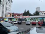 Willmart (Batumi, Shalva Inasaridze Street, 14A), grocery