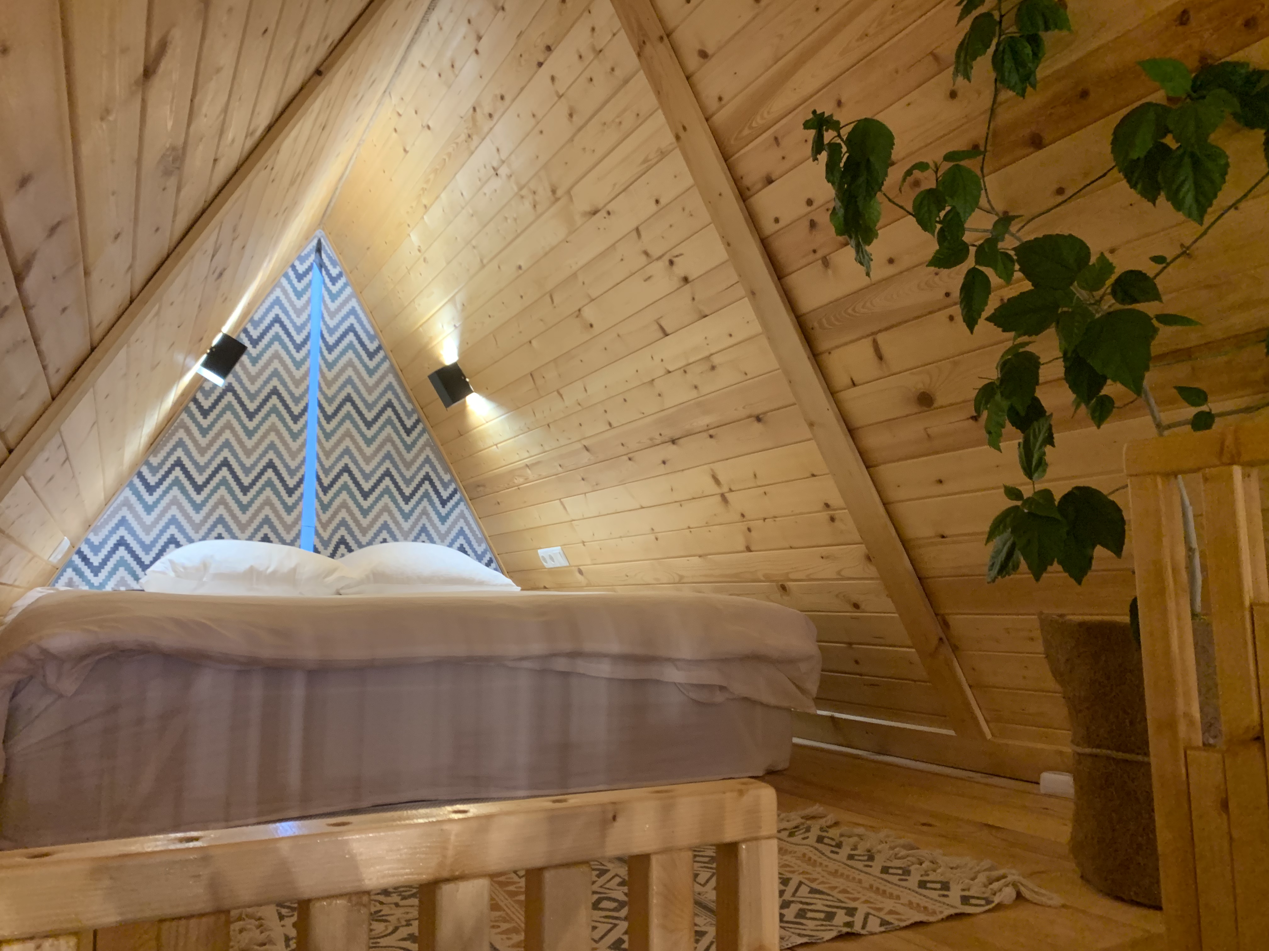 Фото NelManHouse