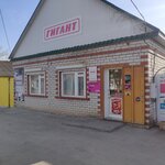 Гиганг (ulitsa Kuybysheva, 75), grocery