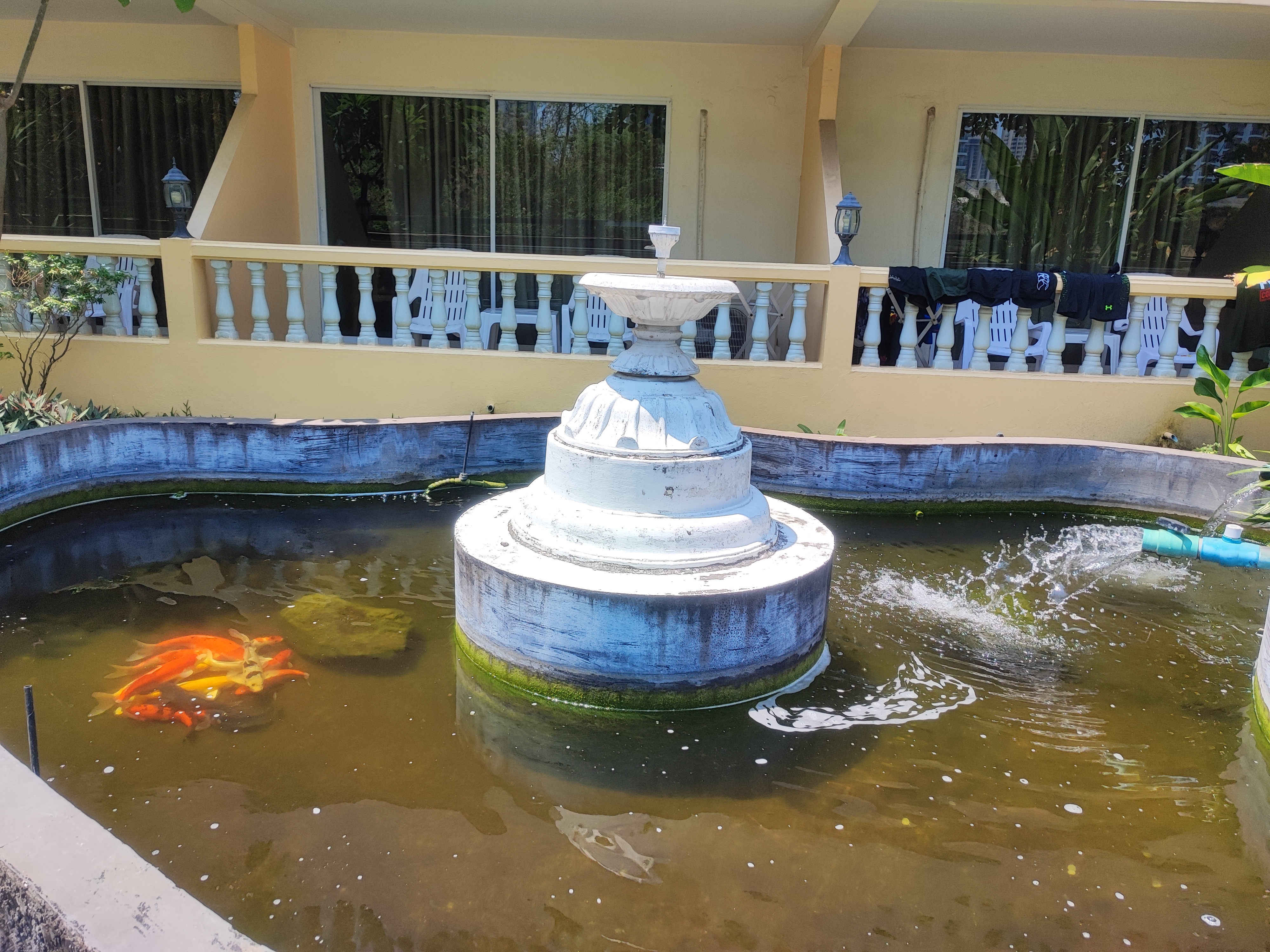 Фото Twin Palms Resort