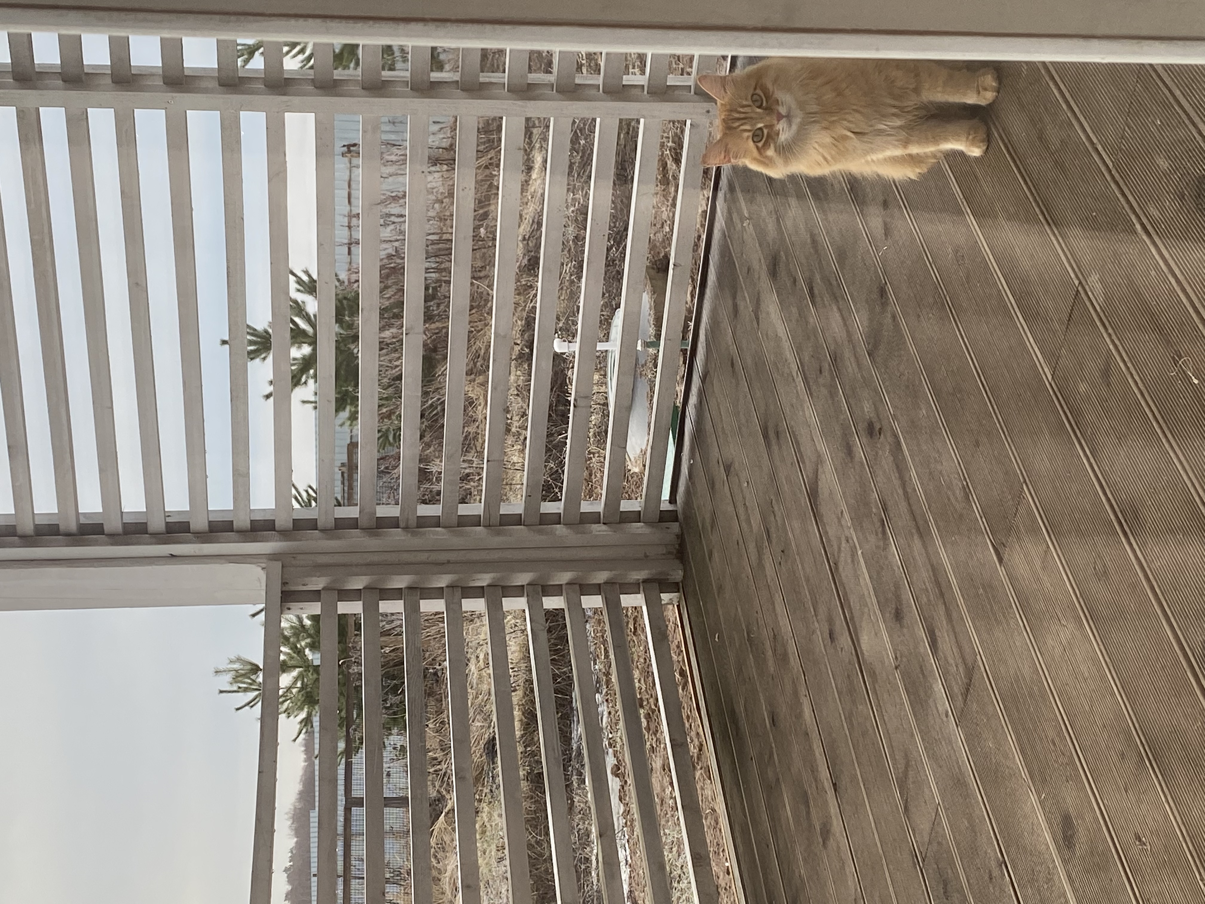 Фото Салтыково на Оке