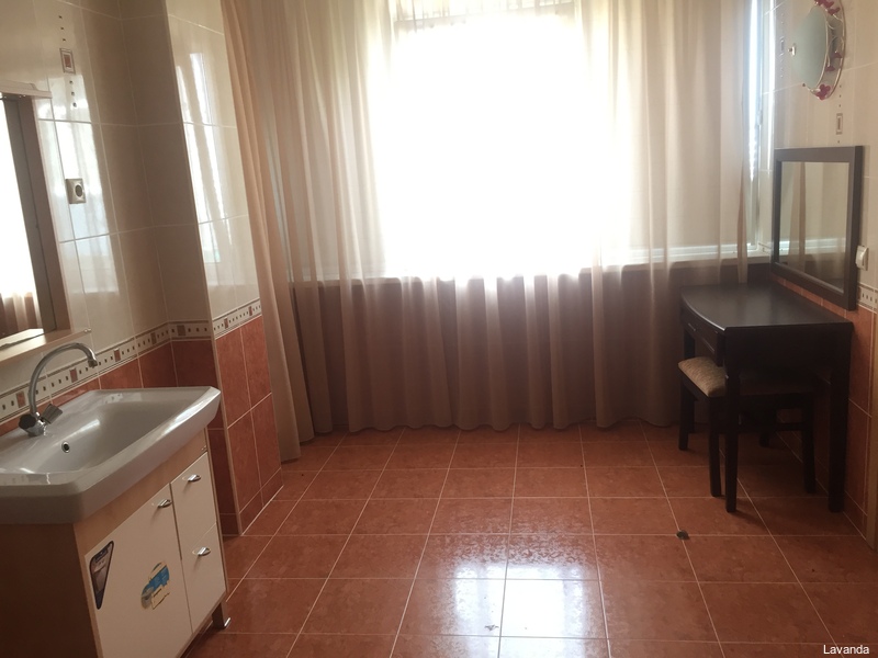 Фото Лаванда