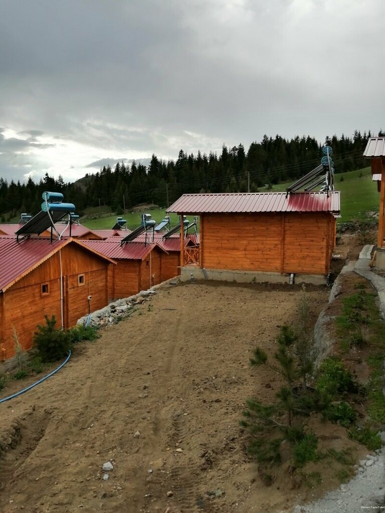 disharo yayla evleri otel pinarli koyu balikgolu mevkii no 43 savsat artvin turkiye yandex haritalar